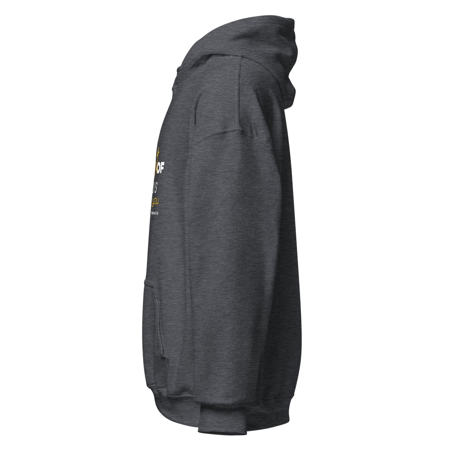 Unisex Hoodie - The Light of Jesus Shines on You - BeFaithinStyle.