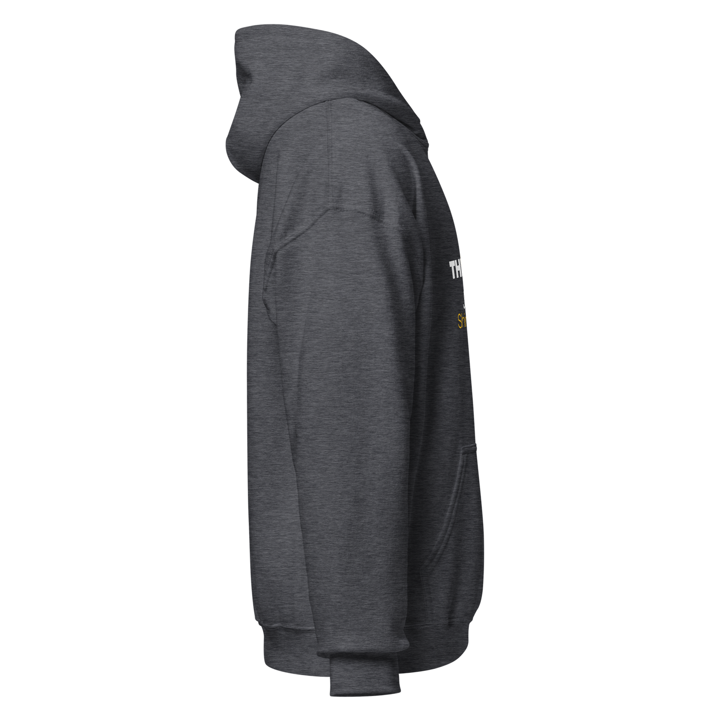 Unisex Hoodie - The Light of Jesus Shines on You - BeFaithinStyle.