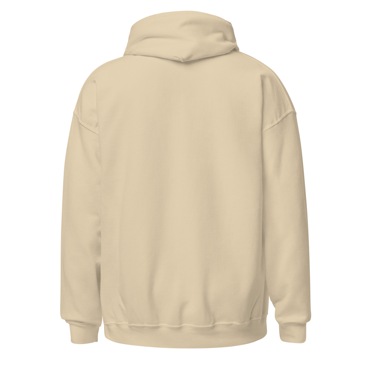 Unisex Hoodie - God Bless You -BeFaithinStyle.