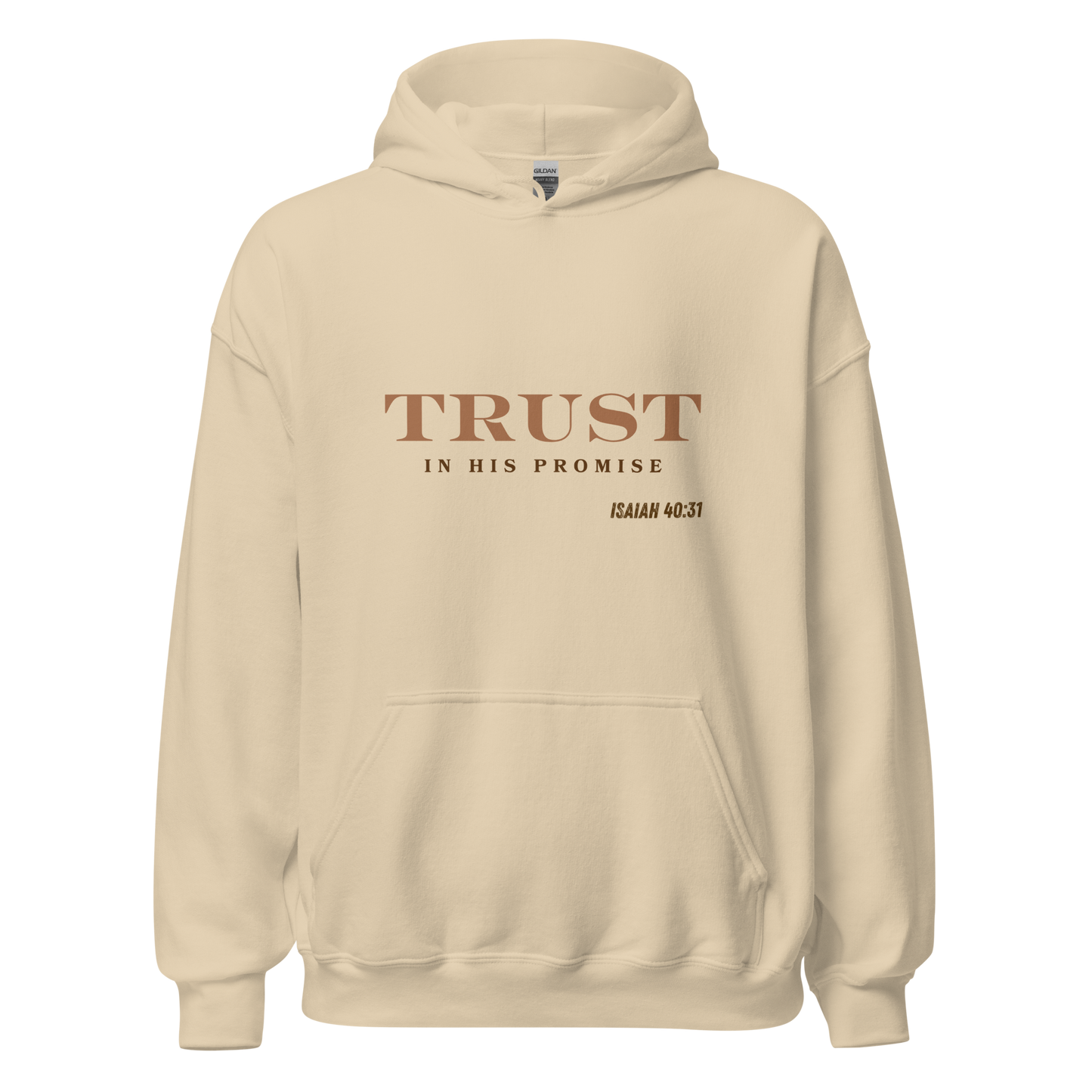 Unisex Hoodie - Trust in His Promise - BeFaithinStyle.