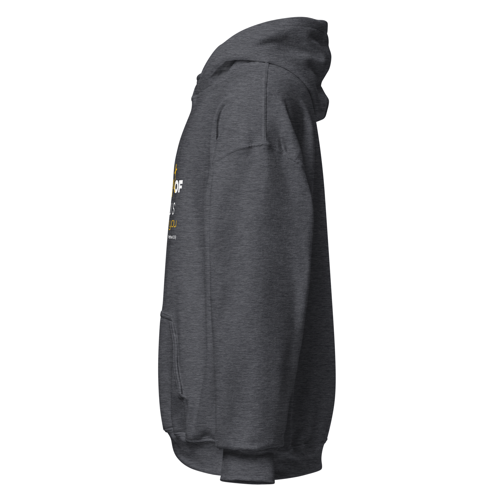 Unisex Hoodie - The Light of Jesus Shines on You - BeFaithinStyle.
