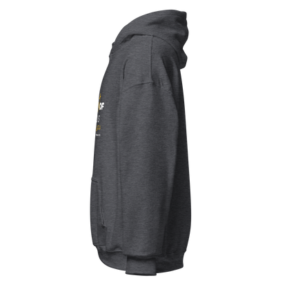 Unisex Hoodie - The Light of Jesus Shines on You - BeFaithinStyle.