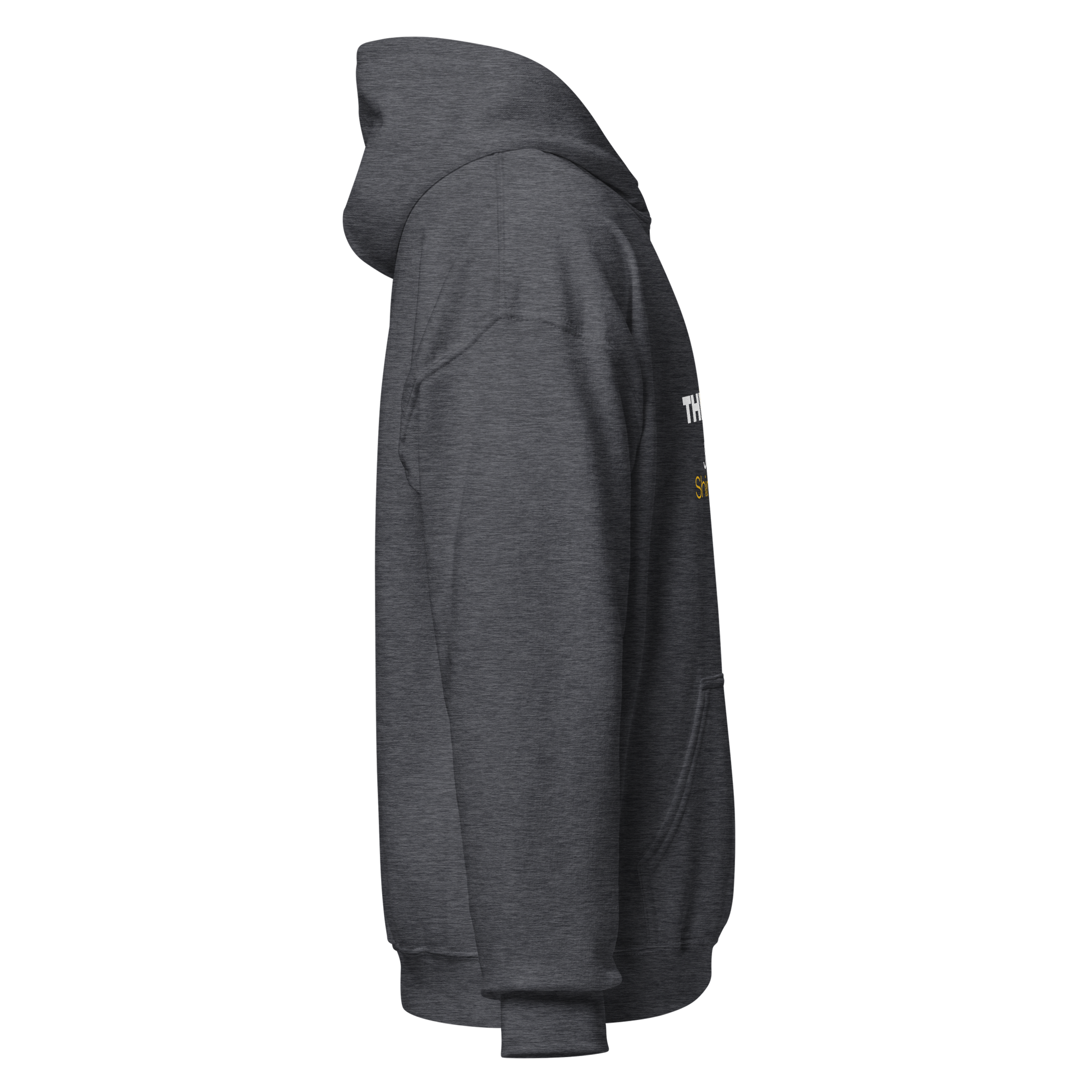 Unisex Hoodie - The Light of Jesus Shines on You - BeFaithinStyle.
