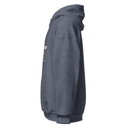 Unisex Hoodie - The Light of Jesus Shines on You - BeFaithinStyle.