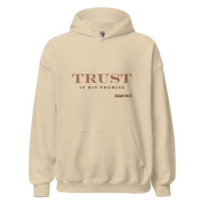 Unisex Hoodie - Trust in His Promise - BeFaithinStyle.