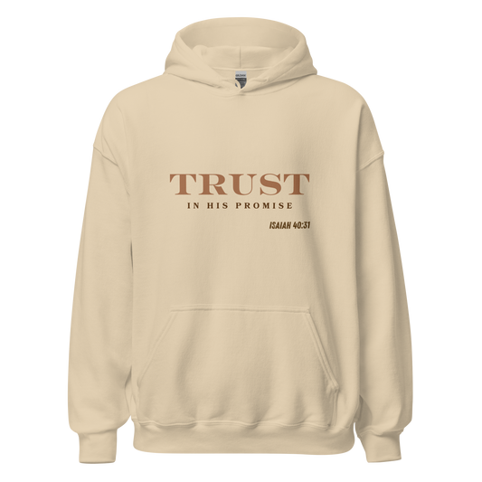 Unisex Hoodie - Trust in His Promise - BeFaithinStyle.