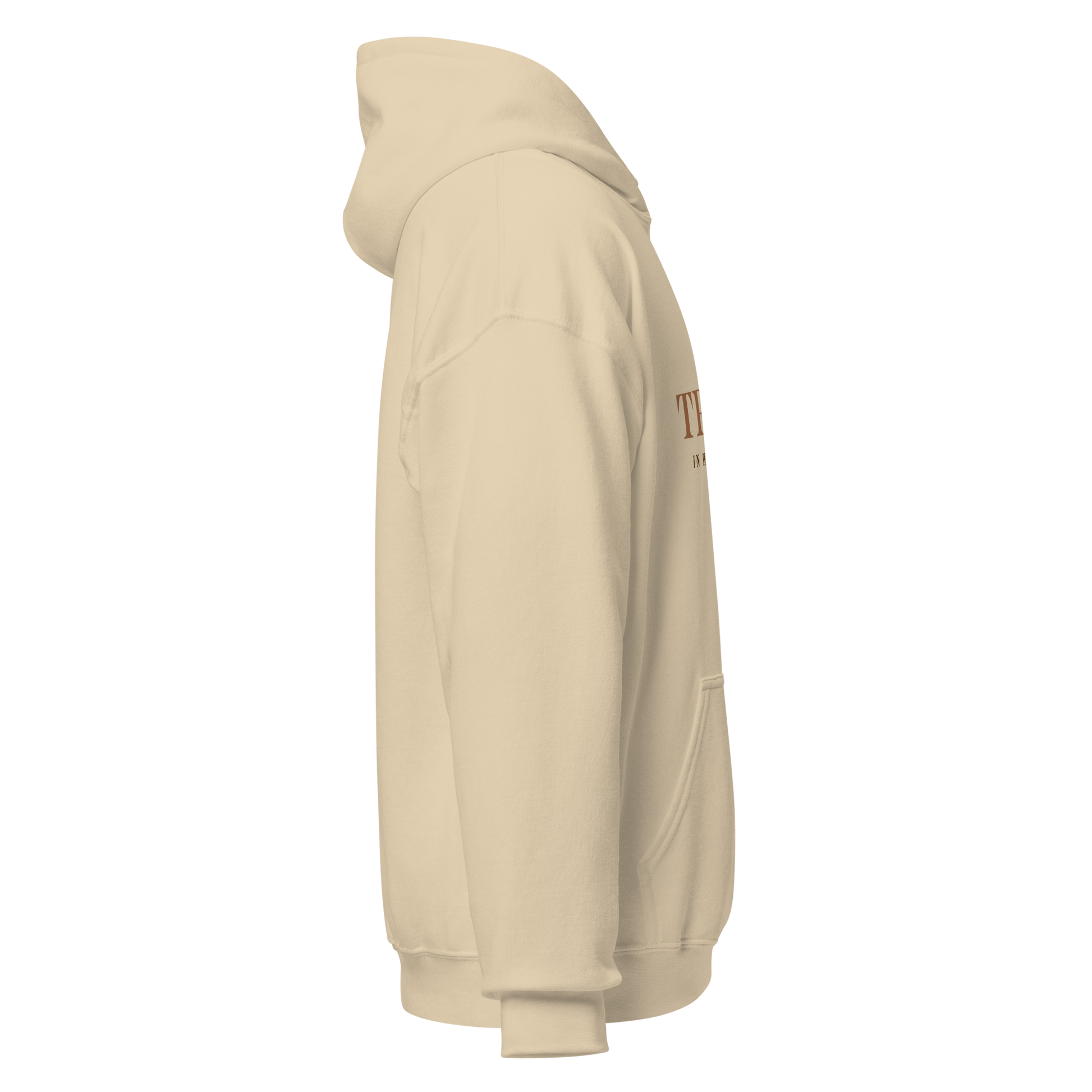 Unisex Hoodie - Trust in His Promise - BeFaithinStyle.